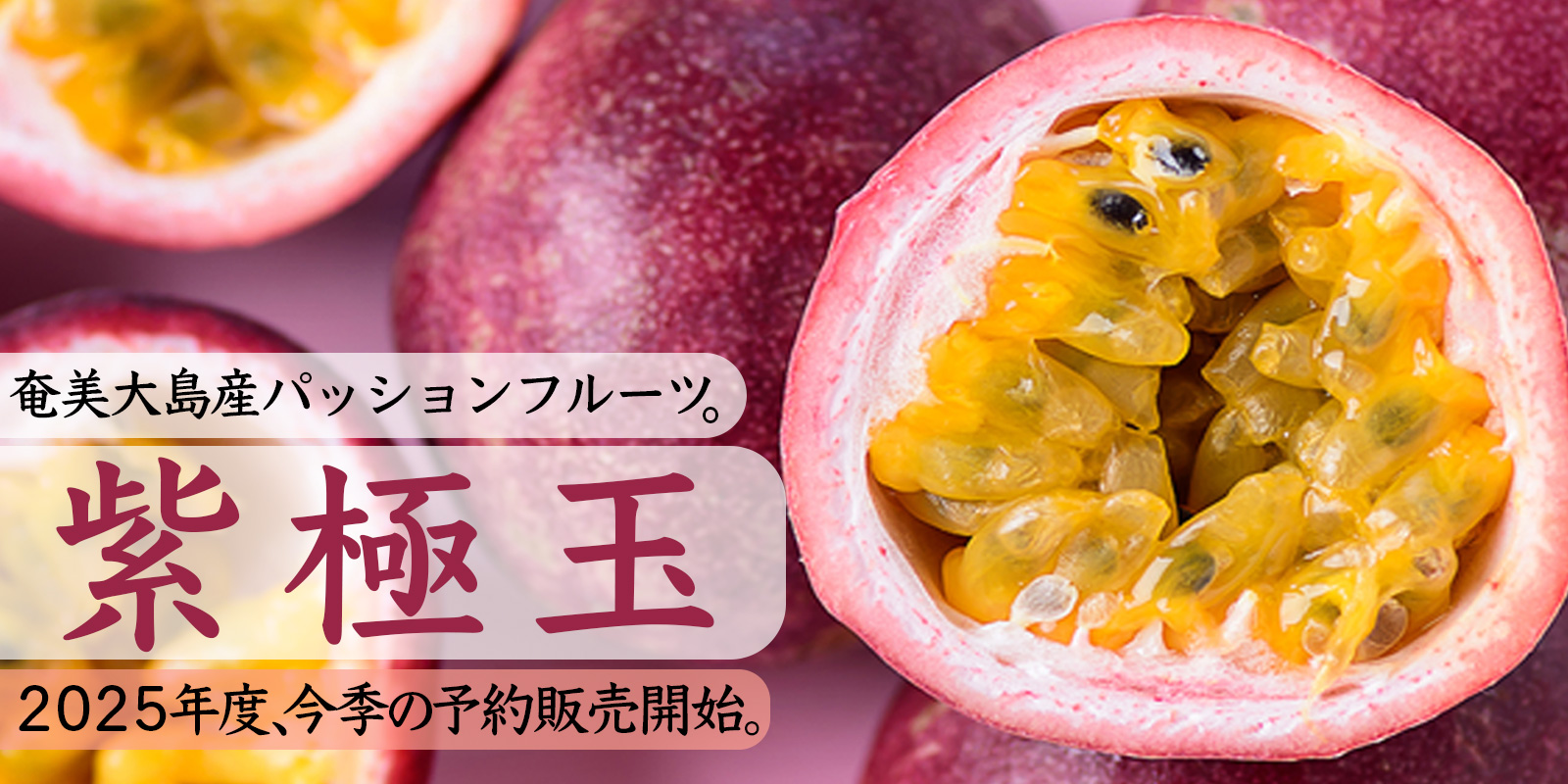 奄美大島産パッションフルーツ「紫極玉」