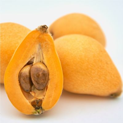 【出荷：4月下旬頃～】長崎県産 びわ 早生　Lサイズ　12個