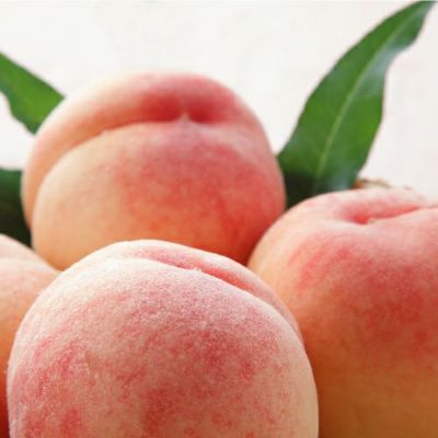 商品が入ります