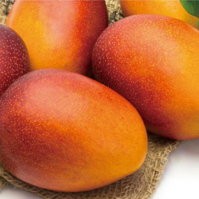 【出荷：7月末頃から】奄美大島産完熟マンゴー中玉4個／約１．１キロ／贈答用奄美大島産 訳あり完熟マンゴー1キロ
