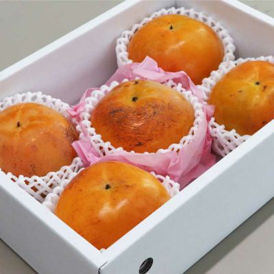 エッグシェル ぐい呑みセット エッグシェル ぐい呑み 日月