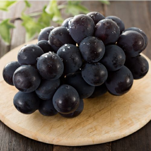 山梨県産・種無しの巨峰ぶどう 1箱約5kg 10〜11房