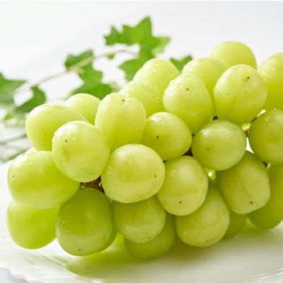 【出荷時期9月1日ごろから】山梨県産 シャインマスカット 種無し 1級品 2KG