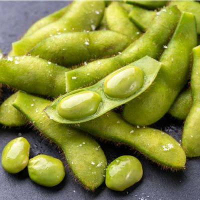 【出荷：8月上旬から9月上旬】だだちゃ豆　自然塩付　贈答用木箱　1.25kg（250g×5）