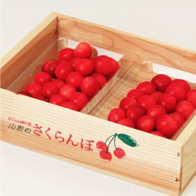 【出荷：6月下旬頃から】山形県産さくらんぼ　佐藤錦　秀選品～特選品　L～2L　500ｇ（250g×2P）　バラ詰　木箱