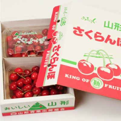 【出荷：6月下旬頃から】さくらんぼ　佐藤錦　秀選品～特選品　L～2L　700ｇ（350g×2P）　バラ詰　化粧箱