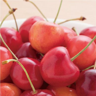 【出荷：6月末頃から】さくらんぼ　紅秀峰　L～2L 700ｇ（350g×2P） バラ詰　化粧箱
