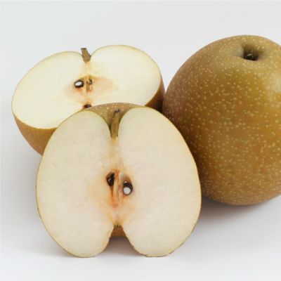 【出荷時期：10月下旬から11月下旬】福島県産梨　王秋梨　特秀品 5kg(8から10玉)